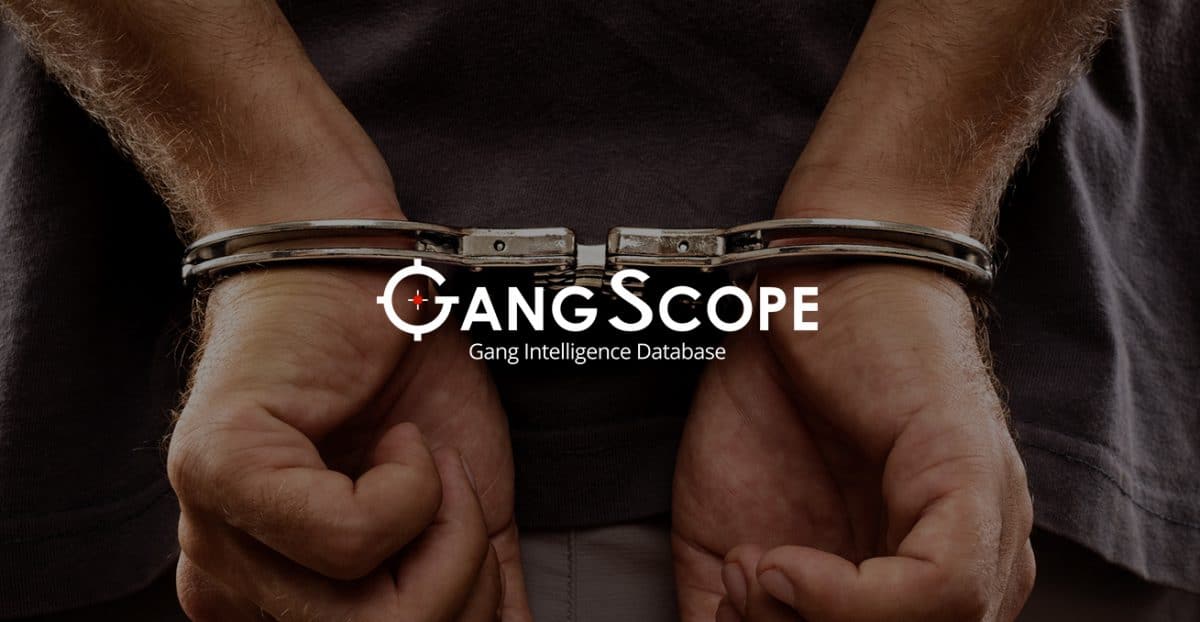 GangScope software image